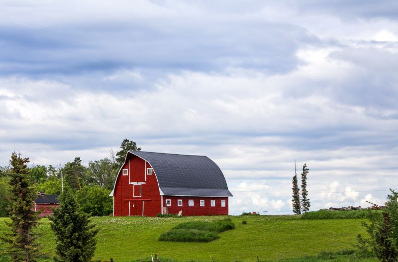 Barn Remodeling in Wilmington, NC