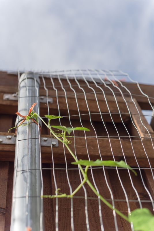 Fence Trellis Installation in Wilmington, NC