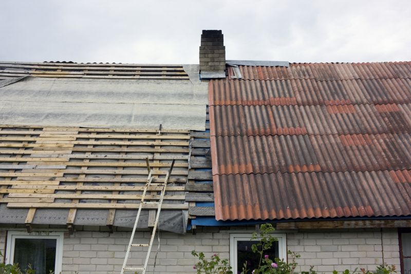 Shed Damage Repair in Conroe, TX
