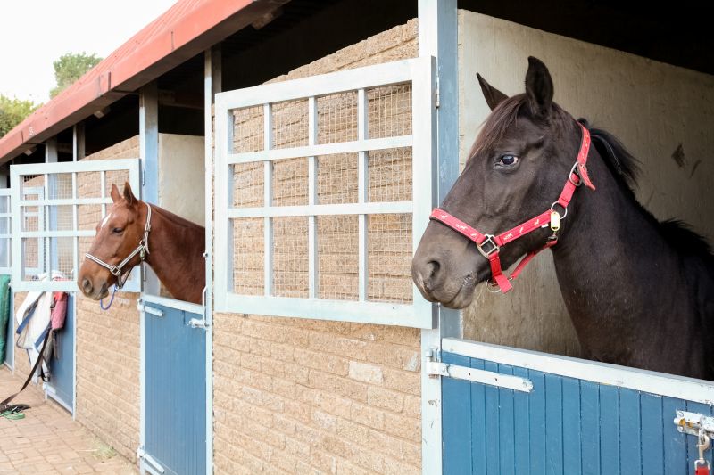 Stable Repair in Alpharetta, GA
